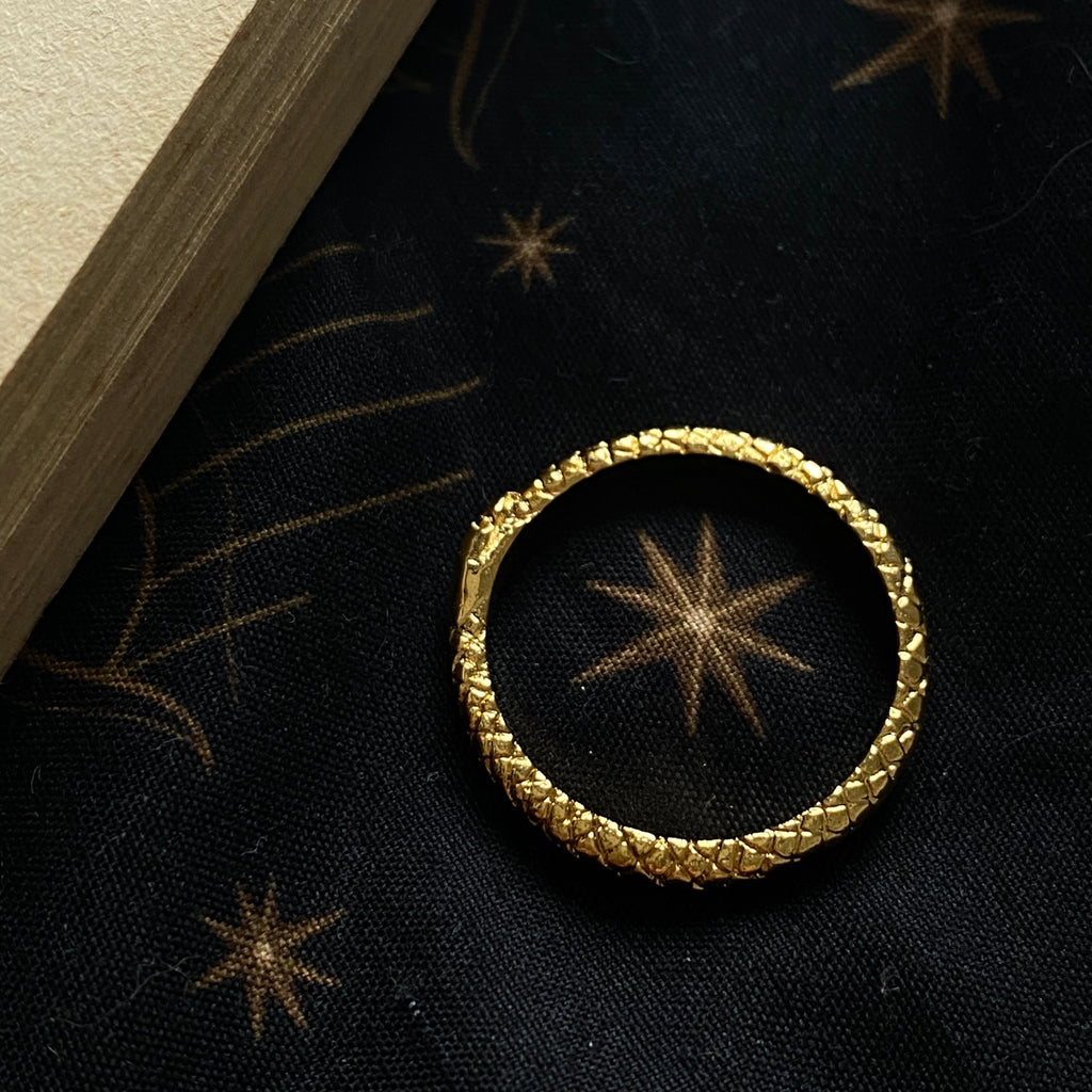 Uroboro Ring - Cosmica Gioielli