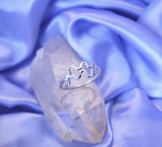 Aquarius / Zodiac Rings