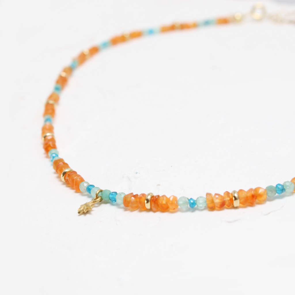 Princess Sirena: Coral