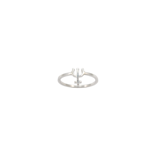 The Neptune Ring