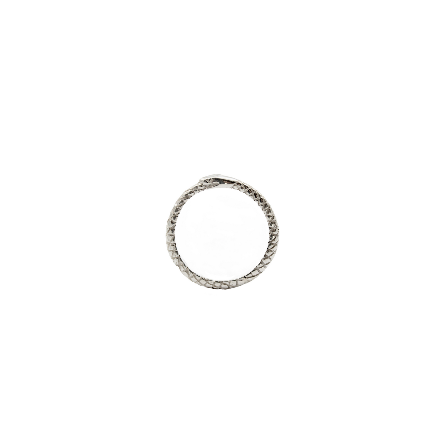 Uroboro Ring