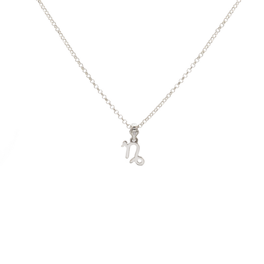 Capricorn Necklace